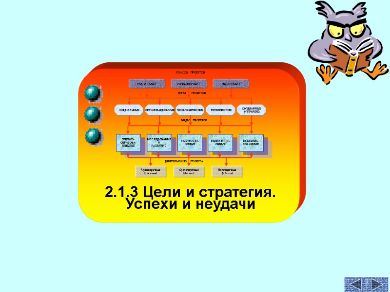 2.1.3 Цели и стратегия. Успехи и неудачи